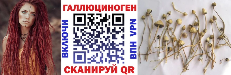 MEGA онион  Приозерск  Галлюциногенные грибы Magic Shrooms 